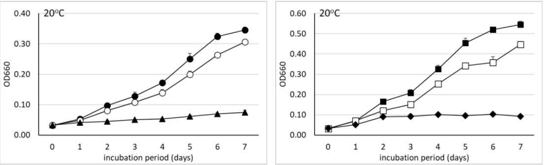 Curvas publicadas de OD660 ao longo de sete dias, a 20 graus Celsius, para cepas de Bradyrhizobium em dois locais; ambos os painéis incluem cepas de B. japonicum.